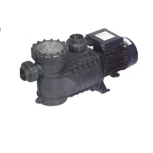 Bomba Piscina 0,8Hp 220V Motor Rpc Vulcano